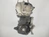 Двигатель (ДВС) Renault Scenic II (2003-2009) Артикул 52330192 - Фото #1
