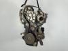 Двигатель (ДВС) Renault Scenic II (2003-2009) Артикул 55080584 - Фото #1