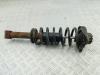 Стойка подвески задняя левая Audi A6 C4 (1994-1997) Артикул 55080496 - Фото #1