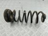 Пружина подвески задняя Audi A8 D2 (1994-2002) Артикул 55216691 - Фото #1