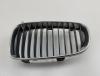 Решетка радиатора BMW 1 E81/E87 (2004-2012) Артикул 55011441 - Фото #1