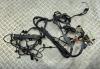 Проводка двигателя BMW 1 E81/E87 (2004-2012) Артикул 55381318 - Фото #1