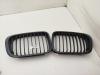 Решетка радиатора BMW 3 E46 (1998-2006) Артикул 55009850 - Фото #1