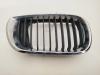 Решетка радиатора BMW 3 E46 (1998-2006) Артикул 55159097 - Фото #1