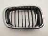 Решетка радиатора BMW 3 E46 (1998-2006) Артикул 55159203 - Фото #1