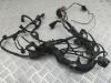Проводка двигателя BMW 3 E46 (1998-2006) Артикул 55166282 - Фото #1
