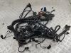 Проводка двигателя BMW 3 E46 (1998-2006) Артикул 55208217 - Фото #1