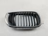 Решетка радиатора BMW 3 E46 (1998-2006) Артикул 55279934 - Фото #1