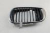 Решетка радиатора BMW 3 E46 (1998-2006) Артикул 55390100 - Фото #1