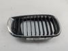 Решетка радиатора BMW 3 E46 (1998-2006) Артикул 55390102 - Фото #1