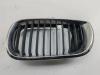 Решетка радиатора BMW 3 E46 (1998-2006) Артикул 55390150 - Фото #1