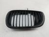 Решетка радиатора BMW 3 E46 (1998-2006) Артикул 55390156 - Фото #1