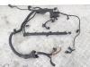 Проводка двигателя BMW 5 E39 (1995-2003) Артикул 54968460 - Фото #1