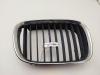 Решетка радиатора BMW 5 E39 (1995-2003) Артикул 55009836 - Фото #1