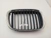 Решетка радиатора BMW 5 E39 (1995-2003) Артикул 55009871 - Фото #1