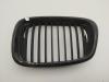 Решетка радиатора BMW 5 E39 (1995-2003) Артикул 55069362 - Фото #1
