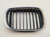 Решетка радиатора BMW 5 E39 (1995-2003) Артикул 55159216 - Фото #1