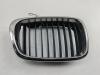 Решетка радиатора BMW 5 E39 (1995-2003) Артикул 55390114 - Фото #1