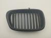 Решетка радиатора BMW 5 E39 (1995-2003) Артикул 55390171 - Фото #1