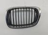 Решетка радиатора BMW 5 E39 (1995-2003) Артикул 55390183 - Фото #1