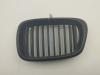 Решетка радиатора BMW 5 E39 (1995-2003) Артикул 55390187 - Фото #1