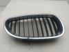 Решетка радиатора BMW 5 E60/E61 (2003-2010) Артикул 55204200 - Фото #1