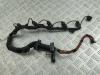 Проводка двигателя BMW 5 E60/E61 (2003-2010) Артикул 55208153 - Фото #1