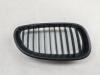 Решетка радиатора BMW 5 E60/E61 (2003-2010) Артикул 55391607 - Фото #1