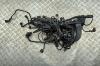Проводка двигателя BMW 7 E65/E66 (2001-2008) Артикул 55376563 - Фото #1