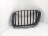 Решетка радиатора BMW X5 E53 (1999-2006) Артикул 54968642 - Фото #1