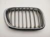 Решетка радиатора BMW X5 E53 (1999-2006) Артикул 55257853 - Фото #1