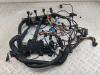 Проводка двигателя BMW X5 E53 (1999-2006) Артикул 55308250 - Фото #1