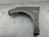 Крыло переднее левое Dacia (Renault) Sandero I (2008-2012) Артикул 54820999 - Фото #1