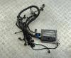 Проводка двигателя Ford Focus II (2004-2011) Артикул 55412782 - Фото #1