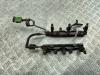 Форсунка топливная (комплект) Honda Pilot (2003-2008) Артикул 55376426 - Фото #1