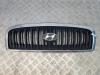 Решетка радиатора Hyundai Sonata (2001-2004) Артикул 54291817 - Фото #1