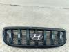 Решетка радиатора Hyundai Terracan Артикул 53839746 - Фото #1