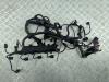 Проводка двигателя Mercedes C-Class W203 (2000-2006) Артикул 55358182 - Фото #1