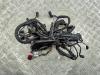 Проводка двигателя Mercedes C-Class W203 (2000-2006) Артикул 55376198 - Фото #1