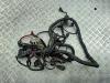 Проводка двигателя Opel Astra H (2004-2009) Артикул 55341766 - Фото #1