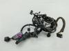 Проводка двери Opel Insignia A (2008-2017) Артикул 55409905 - Фото #1