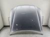 Капот Opel Vectra B (1995-2002) Артикул 55355215 - Фото #1