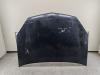Капот Opel Vectra C (2002-2008) Артикул 55291762 - Фото #1