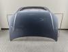Капот Opel Zafira A (1999-2005) Артикул 55110290 - Фото #1
