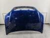 Капот Opel Zafira A (1999-2005) Артикул 55360777 - Фото #1
