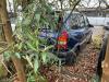  Opel Zafira A (1999-2005) Разборочный номер S8317 #4