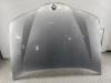 Капот Renault Laguna II (2001-2007) Артикул 55364136 - Фото #1