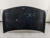 Капот Renault Megane II (2002-2008) Артикул 55363748 - Фото #1