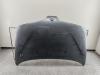 Капот Renault Scenic I (1996-2003) Артикул 54875874 - Фото #1