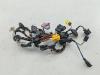Проводка двери Skoda Octavia mk2 (A5 1Z) 2004-2013 Артикул 55324847 - Фото #1